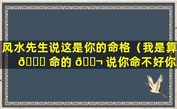 风水先生说这是你的命格（我是算 🐛 命的 🐬 说你命不好你就是命不好）